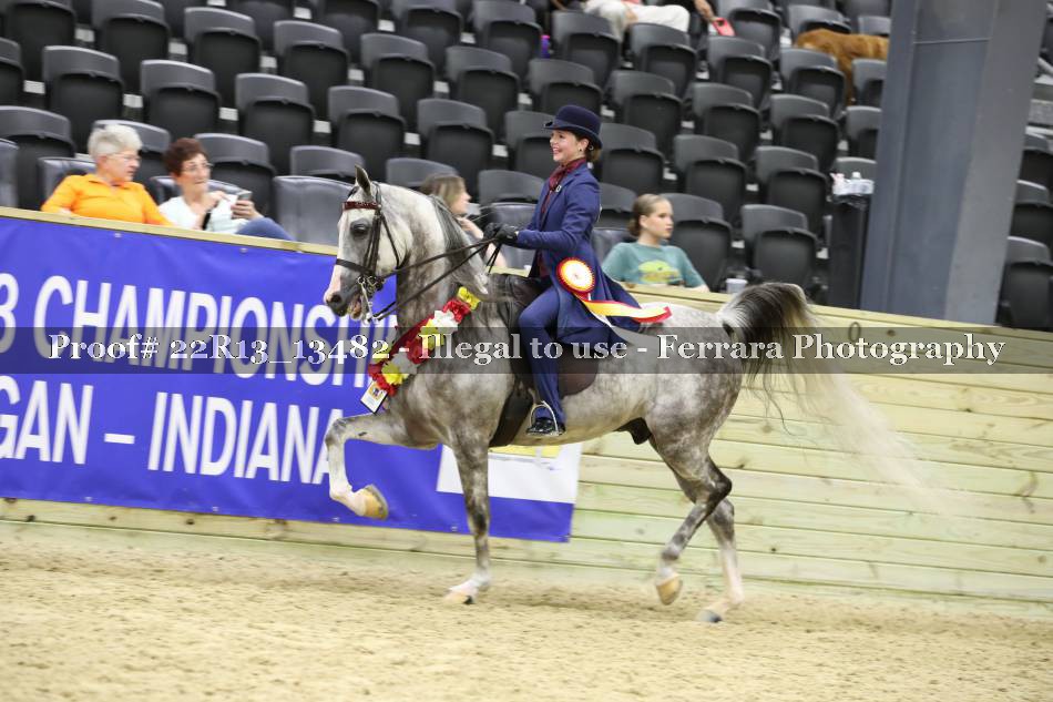 Proof 22R13_13482