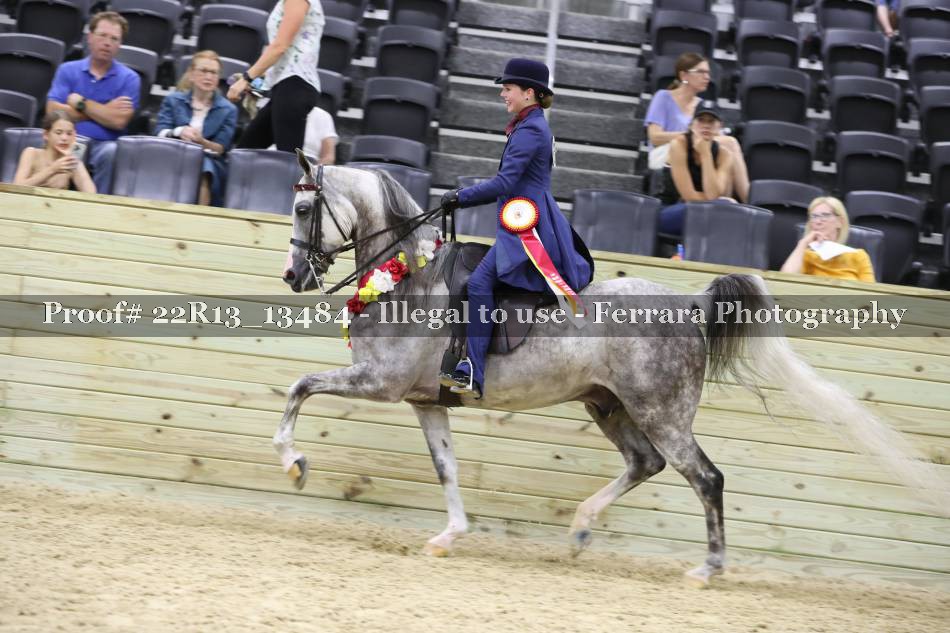 Proof 22R13_13484