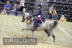 22R13_13484 proof