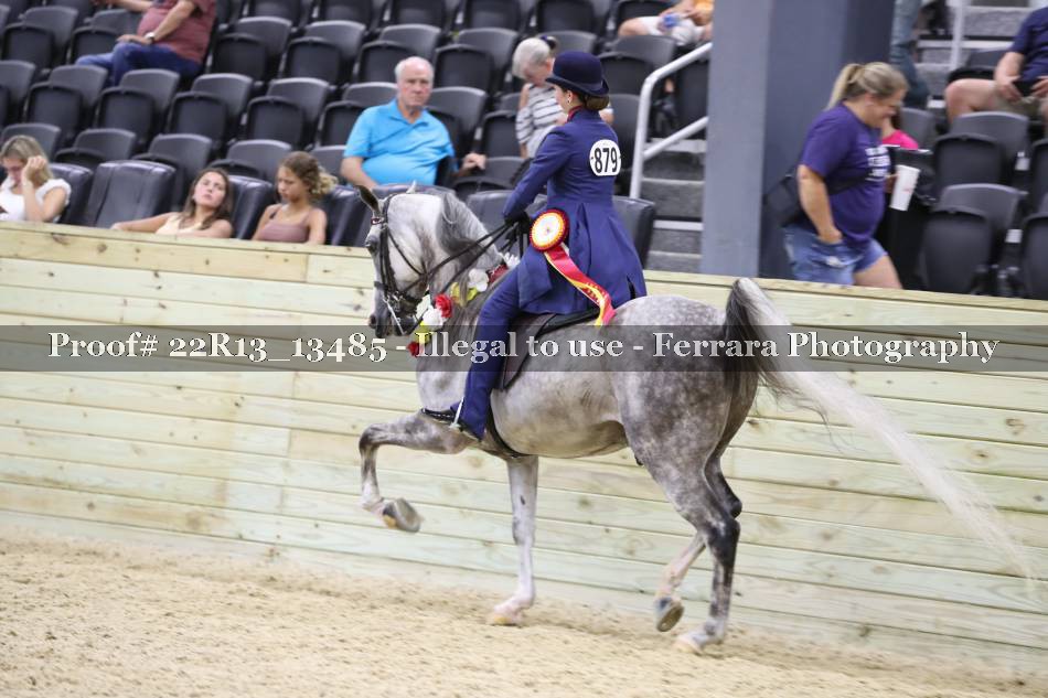 Proof 22R13_13485