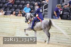 22R13_13485 proof