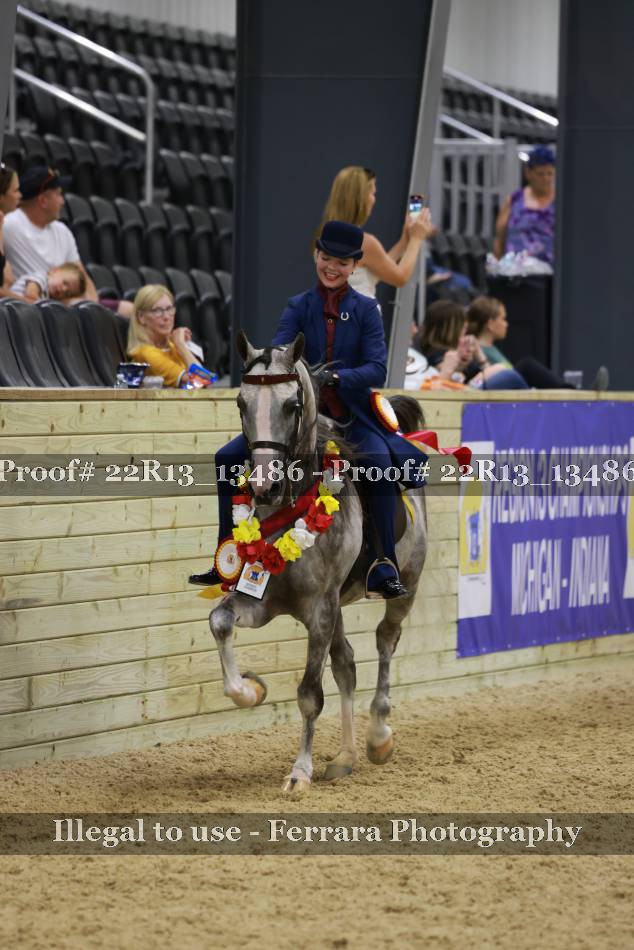 Proof 22R13_13486