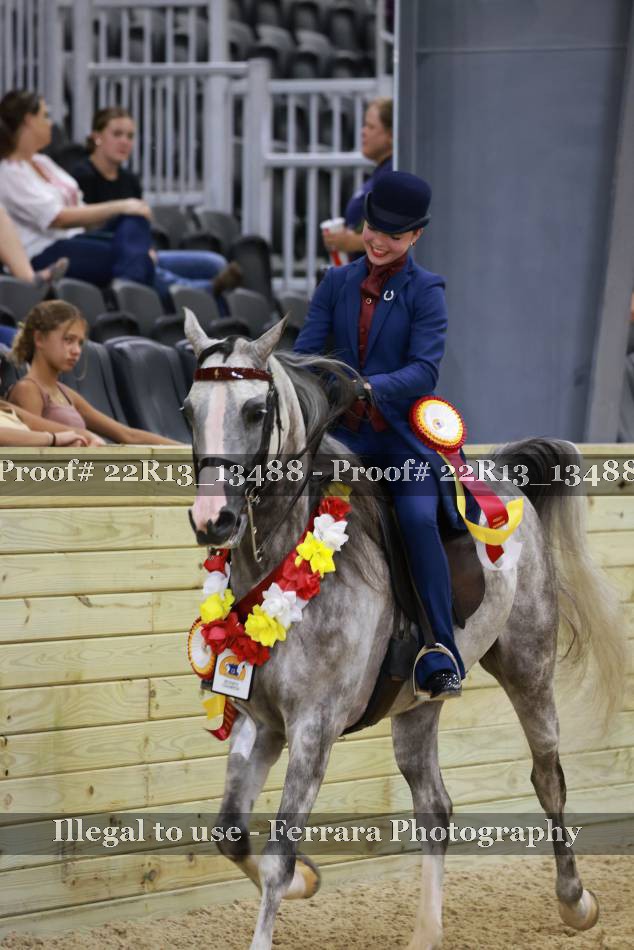 Proof 22R13_13488