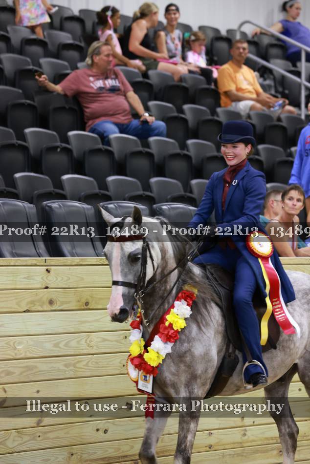 Proof 22R13_13489