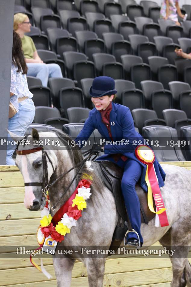 Proof 22R13_13491