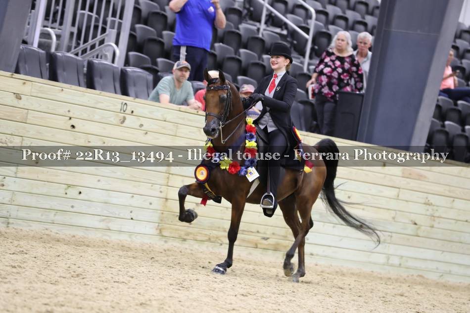 Proof 22R13_13494