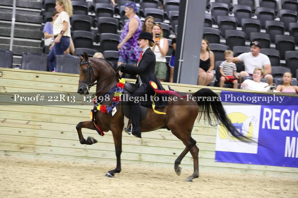 Proof 22R13_13498