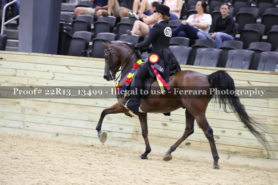 Proof 22R13_13499