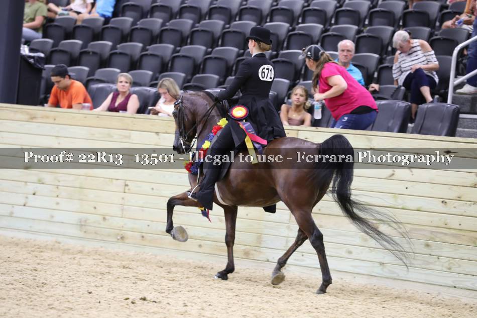 Proof 22R13_13501