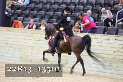 22R13_13501 proof