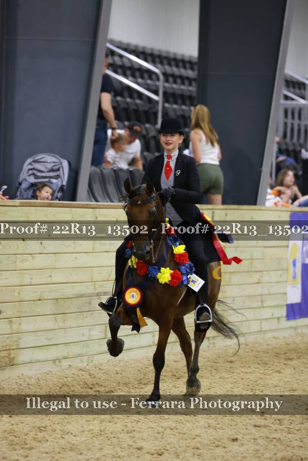 Proof 22R13_13502