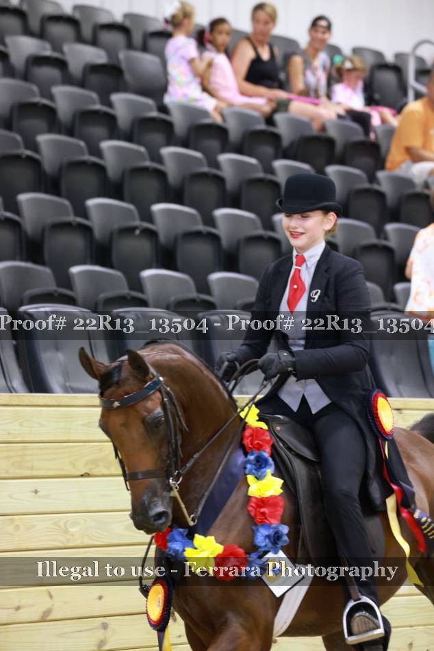 Proof 22R13_13504