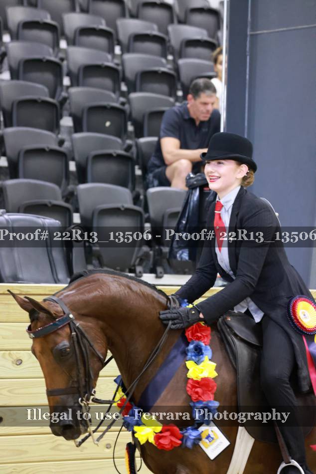 Proof 22R13_13506