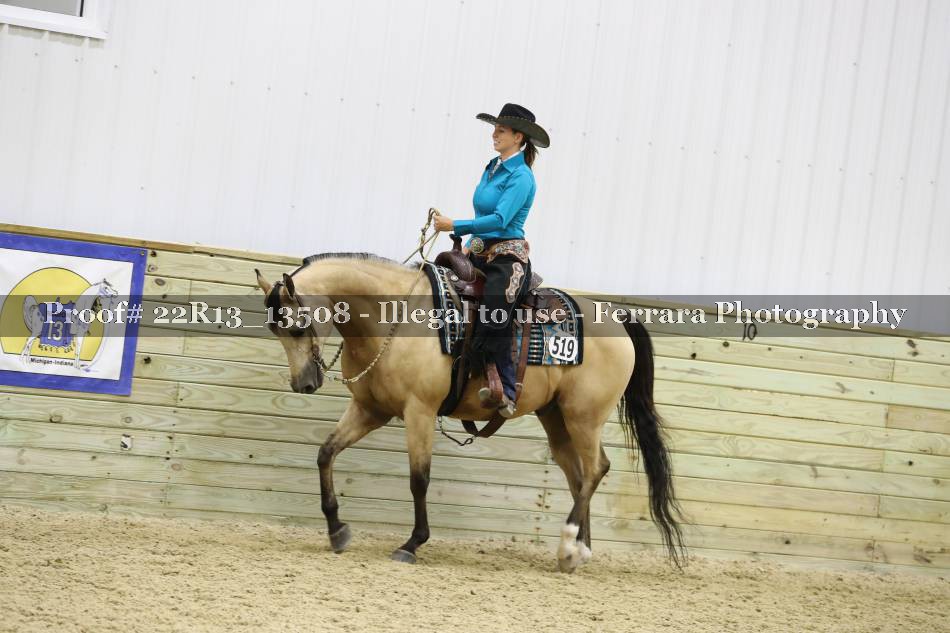 Proof 22R13_13508