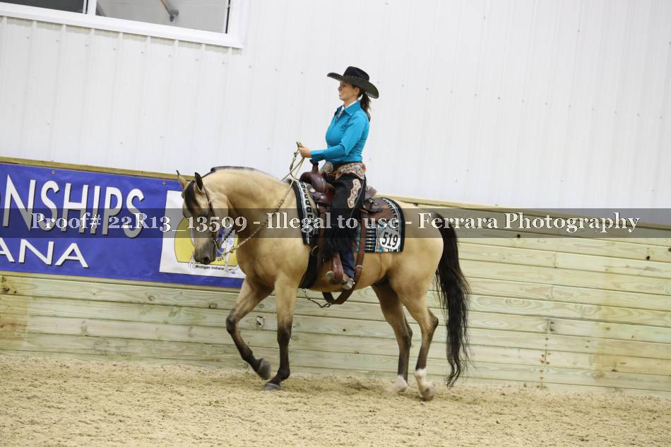 Proof 22R13_13509