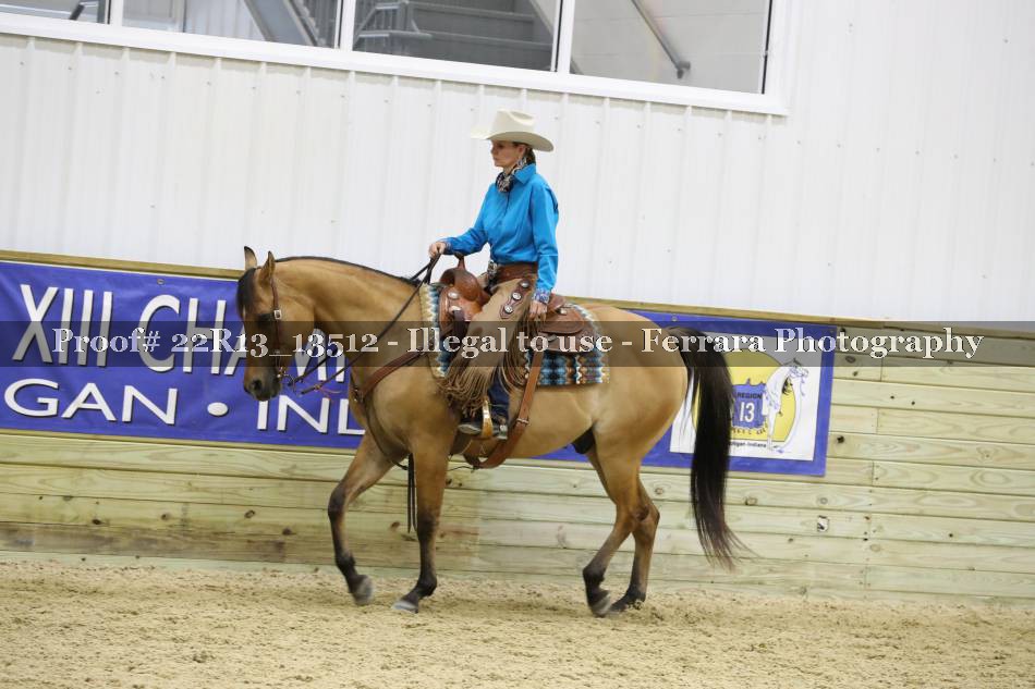 Proof 22R13_13512