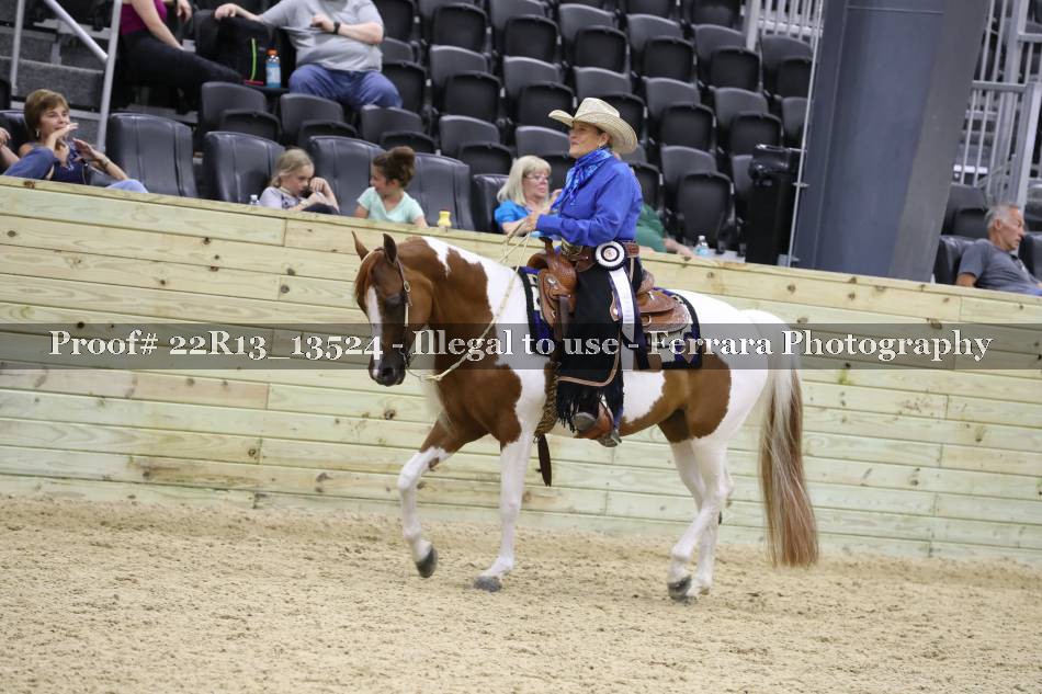 Proof 22R13_13524
