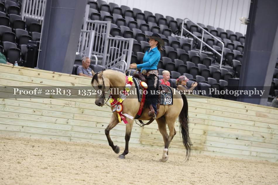 Proof 22R13_13529