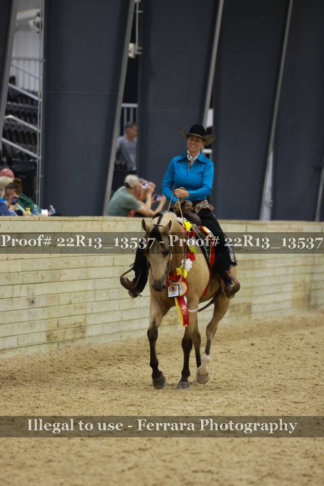 Proof 22R13_13537