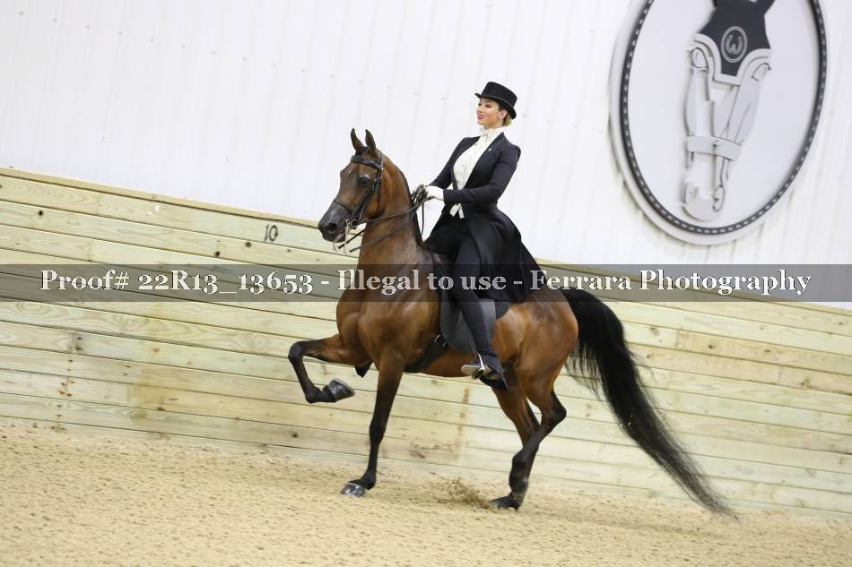 Proof 22R13_13653