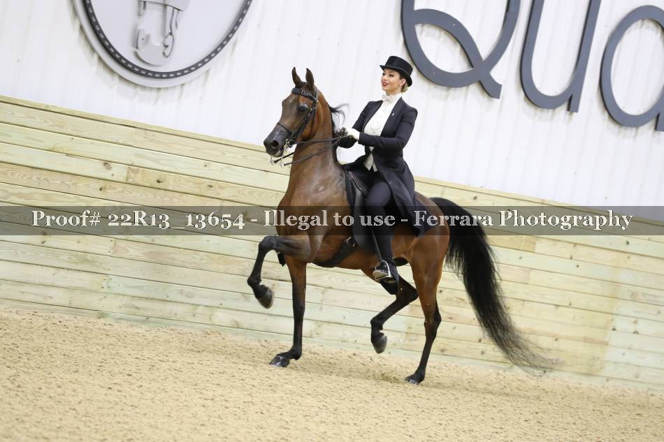 Proof 22R13_13654