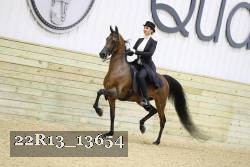 22R13_13654 proof