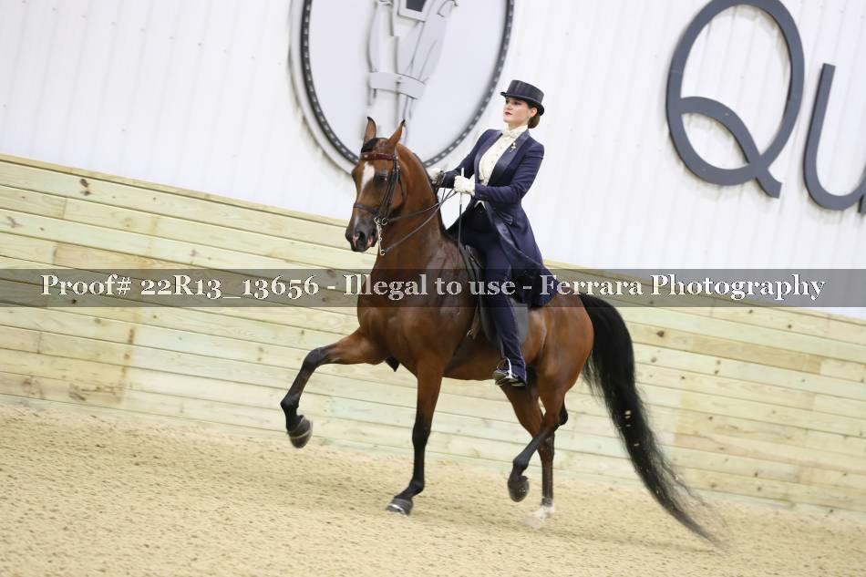 Proof 22R13_13656