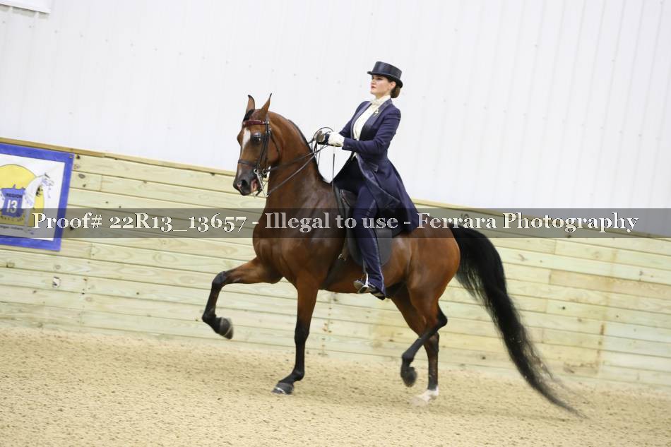 Proof 22R13_13657