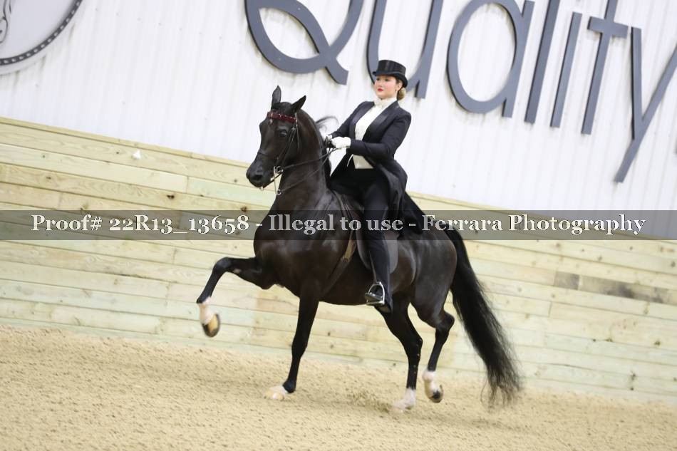 Proof 22R13_13658
