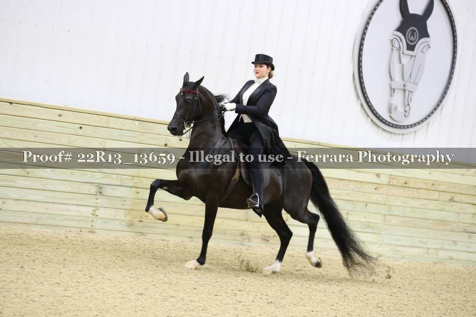 Proof 22R13_13659