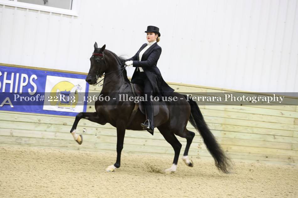 Proof 22R13_13660
