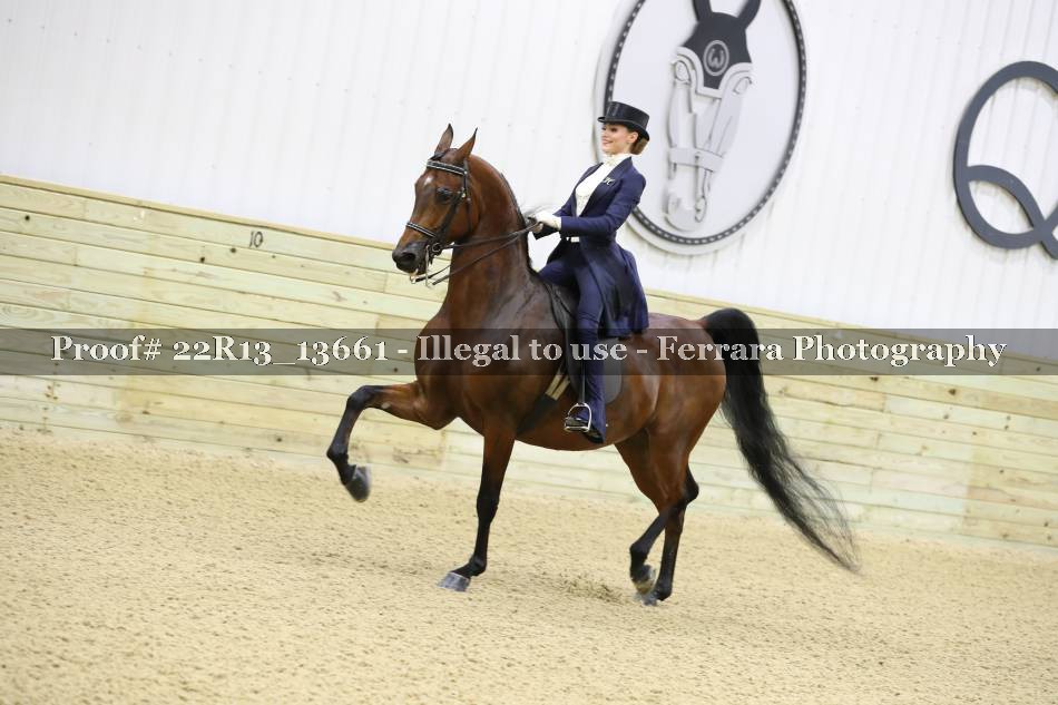 Proof 22R13_13661