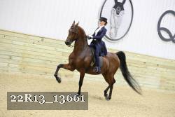 22R13_13661 proof