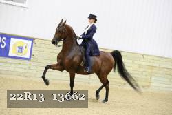 22R13_13662 proof