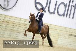 22R13_13663 proof