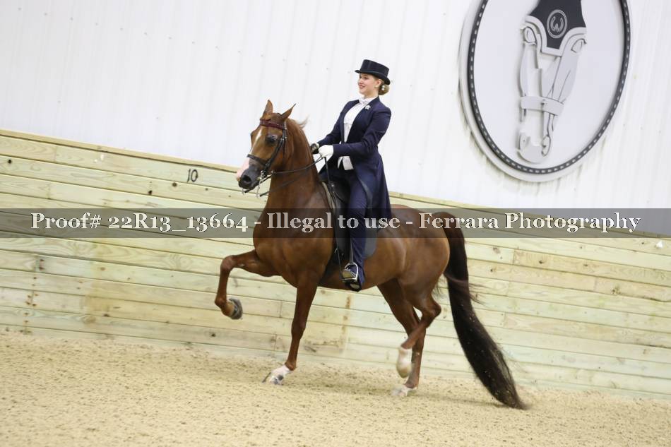 Proof 22R13_13664