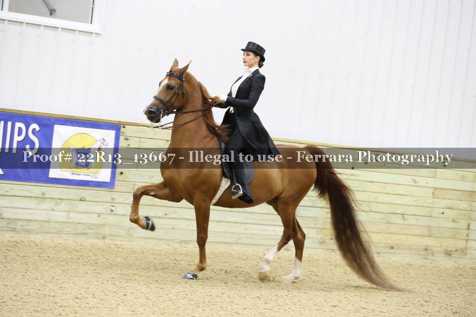 Proof 22R13_13667