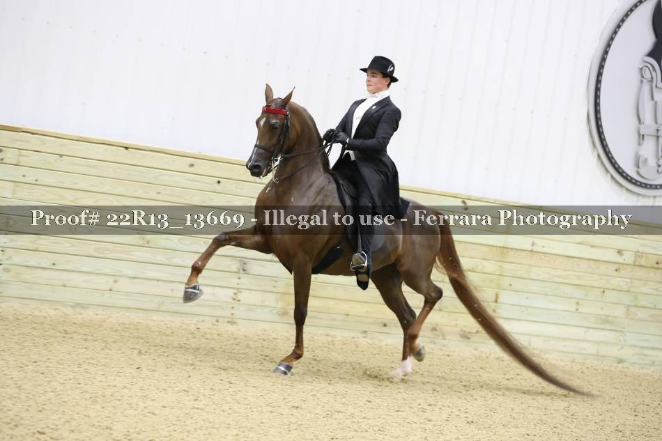 Proof 22R13_13669