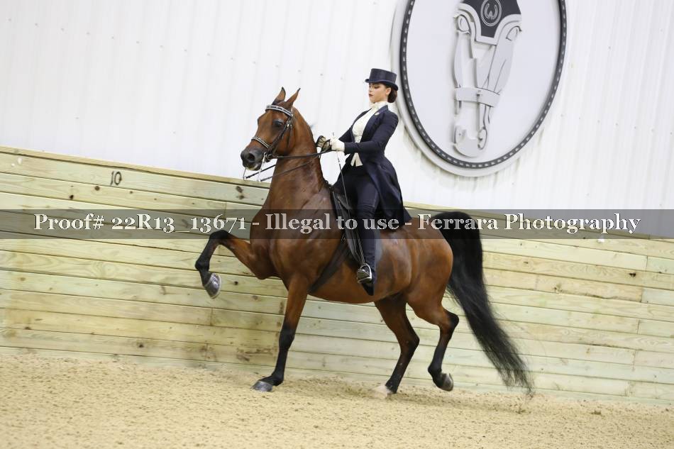 Proof 22R13_13671