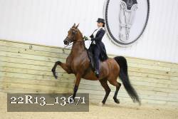 22R13_13671 proof