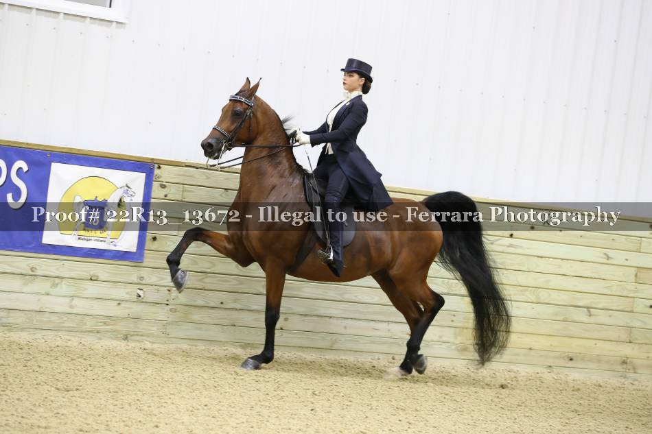 Proof 22R13_13672