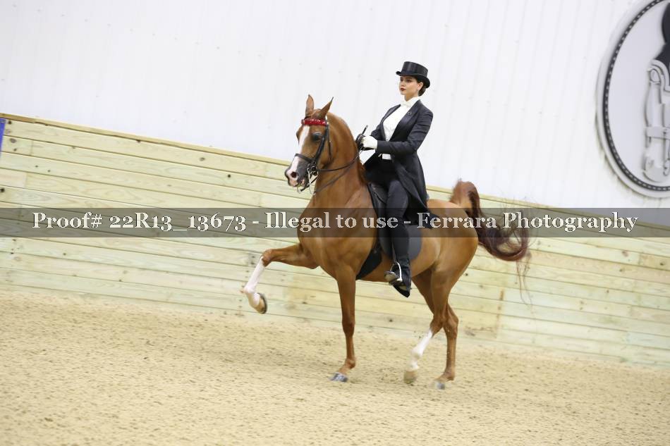 Proof 22R13_13673