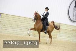 22R13_13673 proof