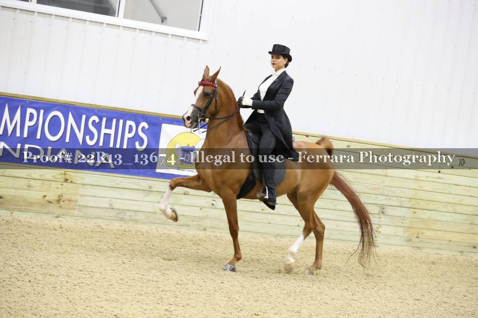 Proof 22R13_13674