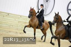 22R13_13676 proof
