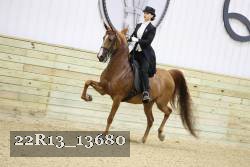 22R13_13680 proof