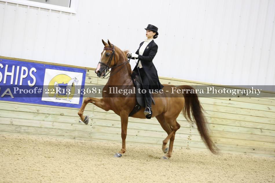 Proof 22R13_13681