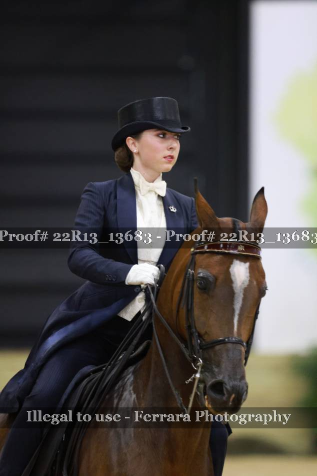 Proof 22R13_13683