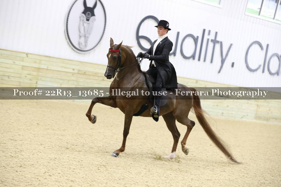 Proof 22R13_13685