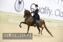 22R13_13685 proof